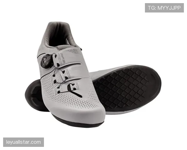 BRM中国耀骑海南中心SH1200KM耐力骑行：1200公里极限挑战4天内完成